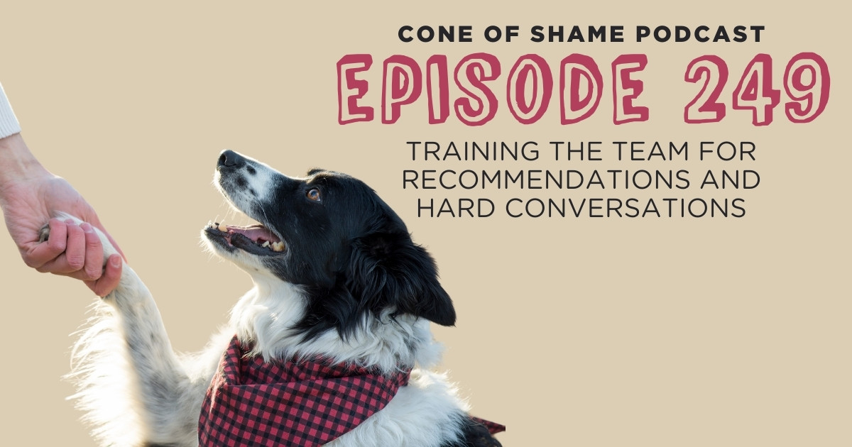 dog training to shake a person's hand