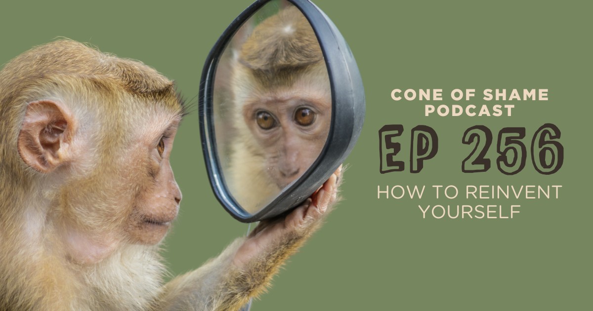 monkey looking at itself in a mirror