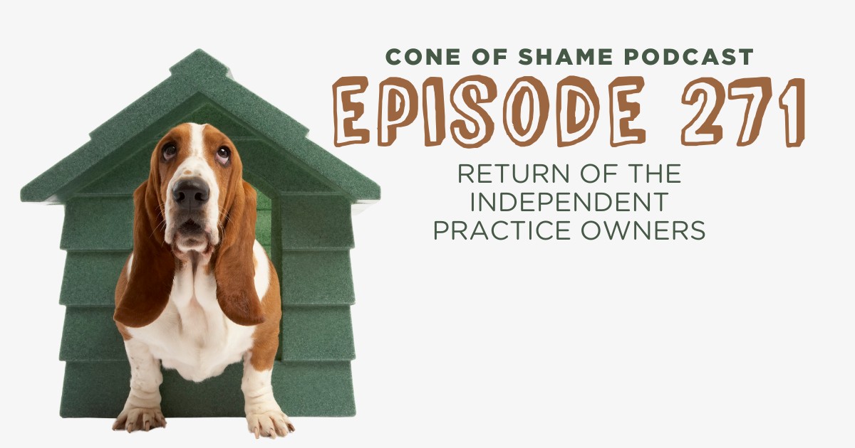 basset hound standing part way inside a dog house
