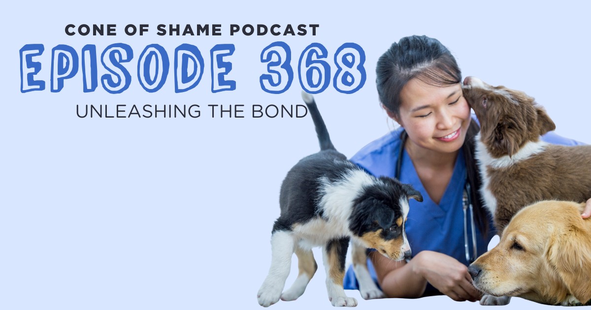 veterinary professional working with multiple happy dogs and puppies