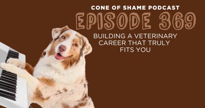 australian shepherd dog playing keyboard piano