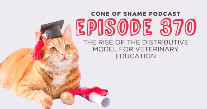 orange cat wearing graduation cap