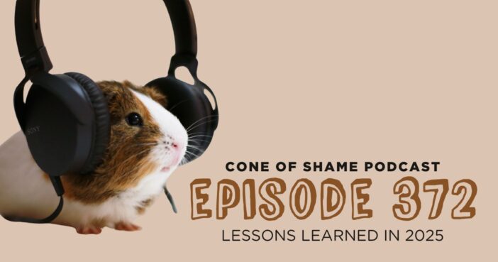 guinea pig wearing headphones