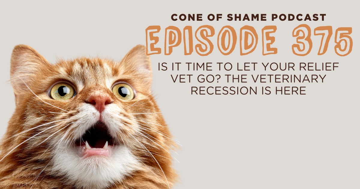 shocked and surprised orange cat