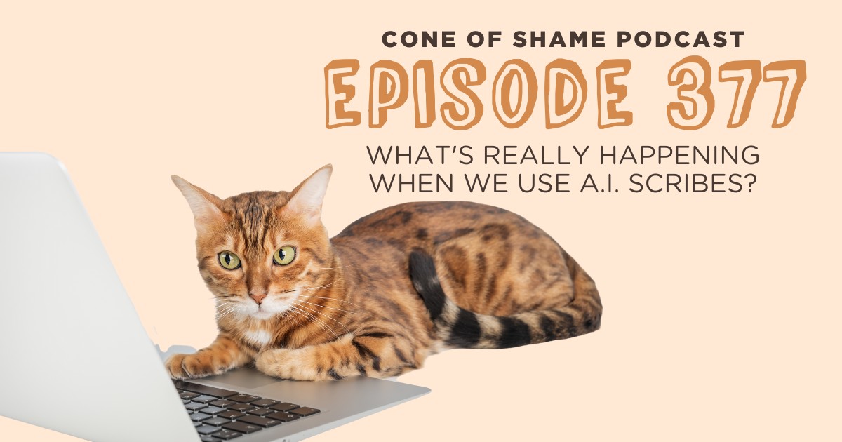 bengal cat looking suspiciously at laptop computer