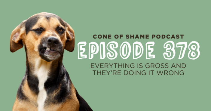 dog making a funny face of disgust and confusion