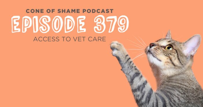 tabby cat reaching up with paw