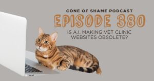 cat looking at laptop computer