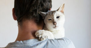 white cat being held over shoulder by owner