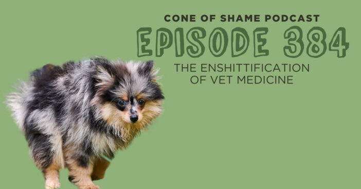 Pomeranian dog going potty outside in grass