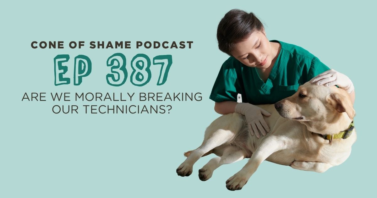 veterinary technician caring for labrador dog