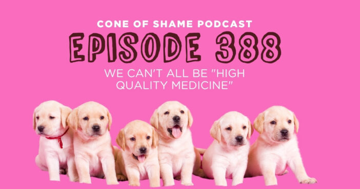 six blonde labrador puppies that all look alike sitting in a row