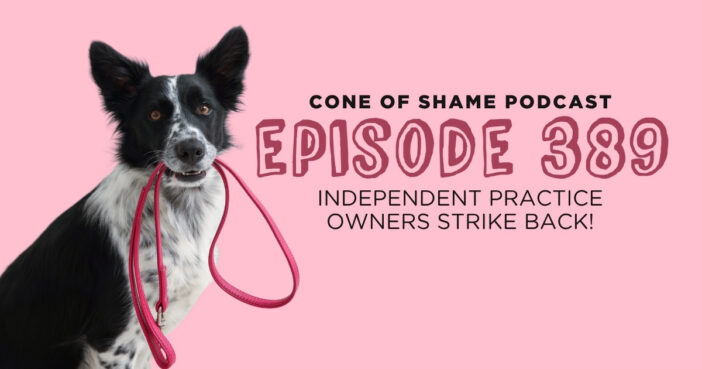 cattle dog holding it's own leash and looking at camera