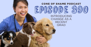 young veterinarian wearing scrub and stethoscope holding several different dogs