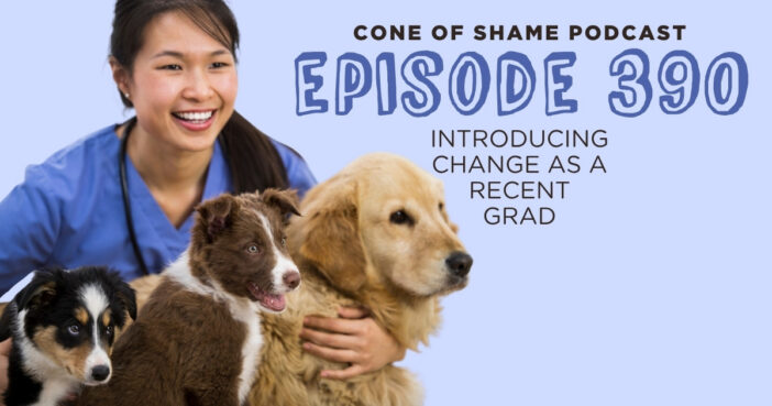 young veterinarian wearing scrub and stethoscope holding several different dogs