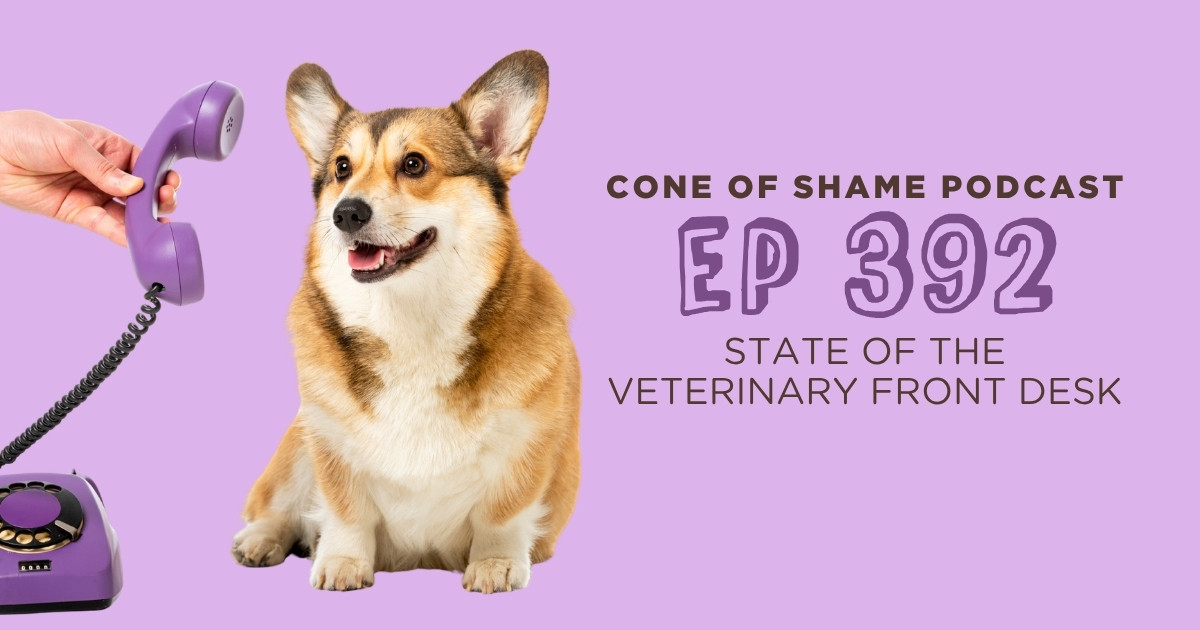 doctor holding purple corded phone up to the ear of a corgi dog