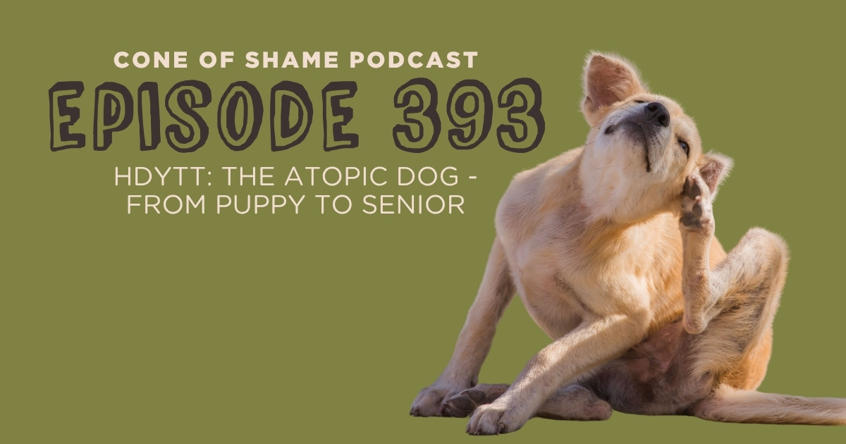 itchy puppy scratching at ear