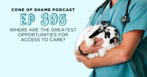 veterinarian or veterinary technician holding a black and white rabbit in arms in a hospital setting