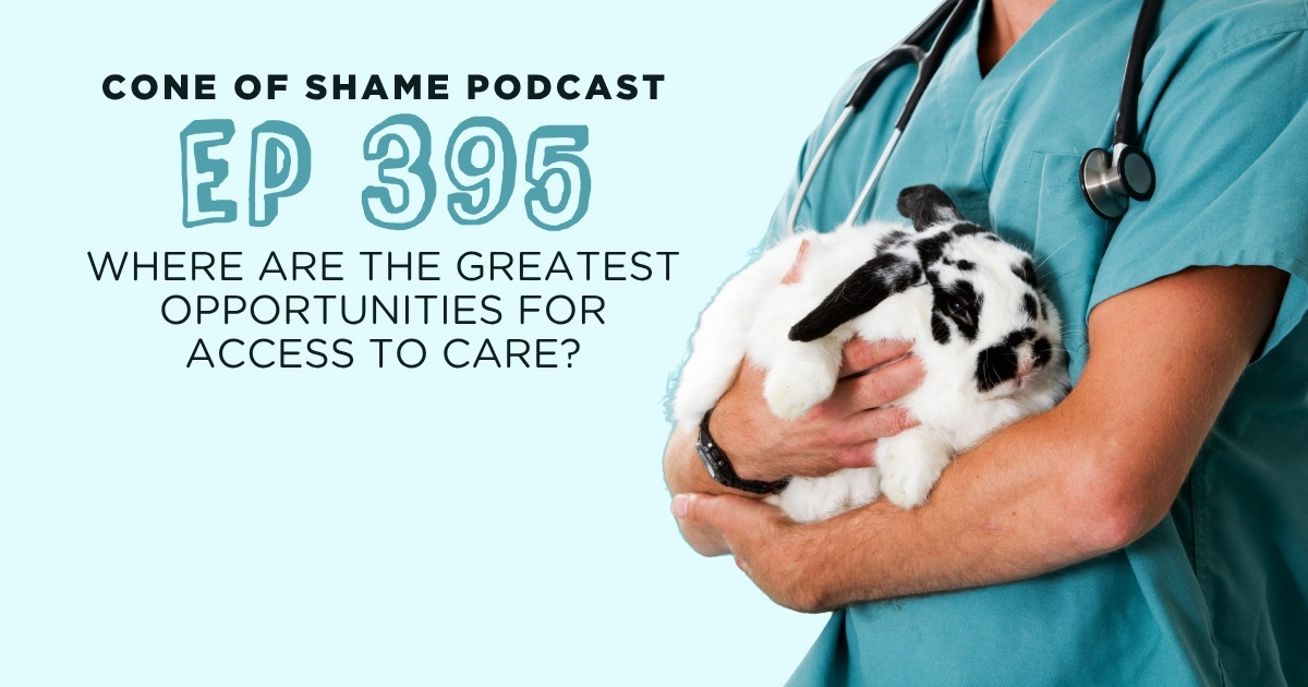 veterinarian or veterinary technician holding a black and white rabbit in arms in a hospital setting