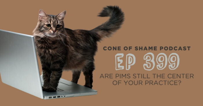 fluffy tabby cat standing on laptop computer