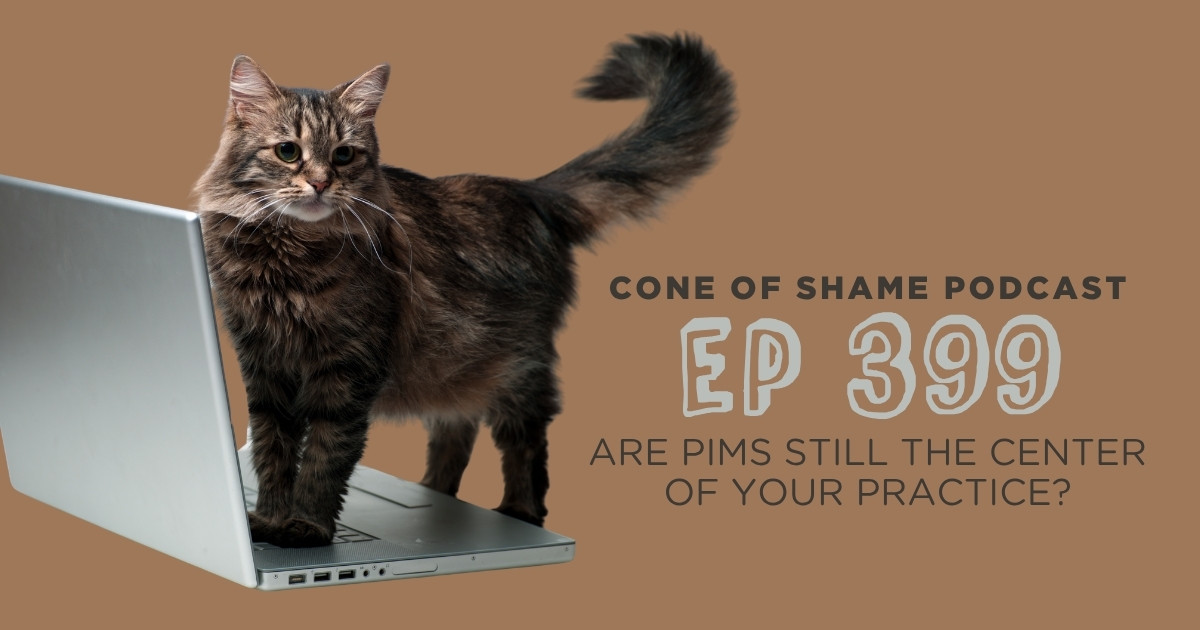 fluffy tabby cat standing on laptop computer