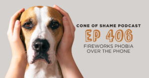 hands covering dog's ears