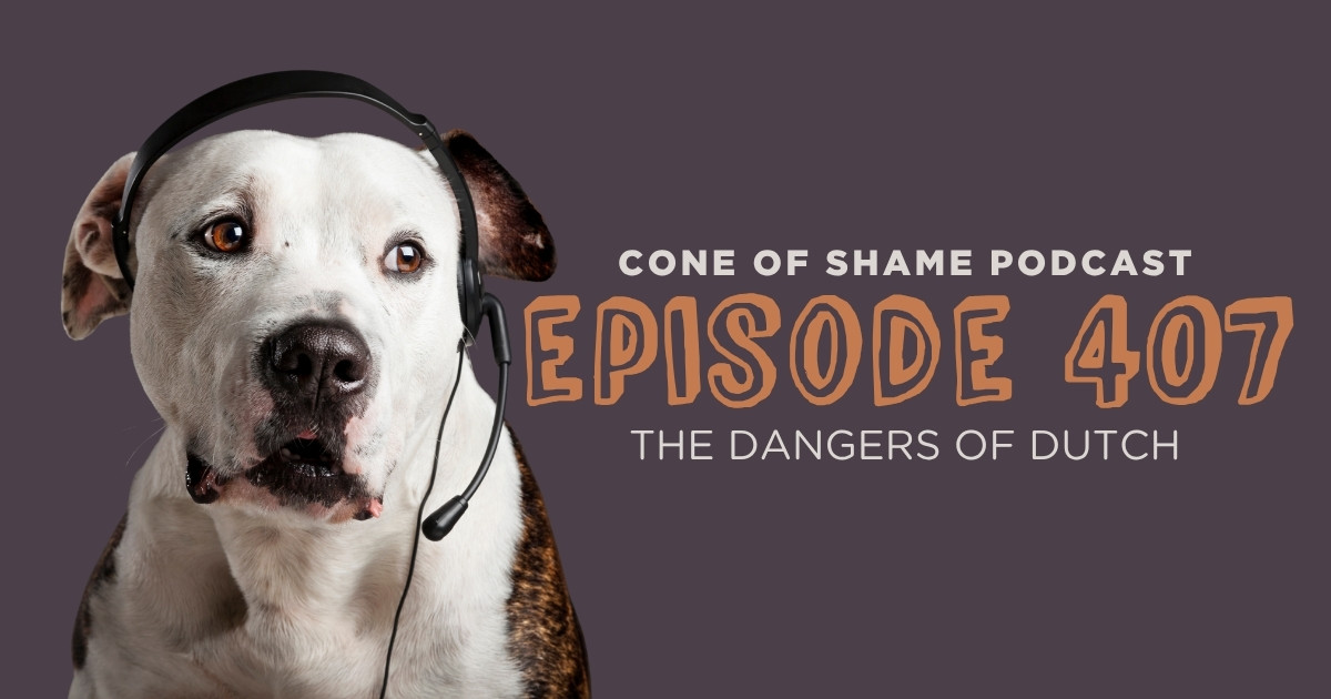 dog wearing telephone headset and looking worried
