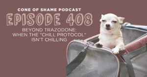 Chihuahua looking slightly sedated sitting in pet carrier
