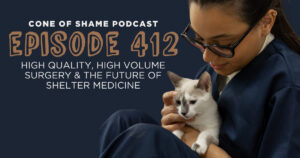 woman in scrubs holding cat in animal shelter