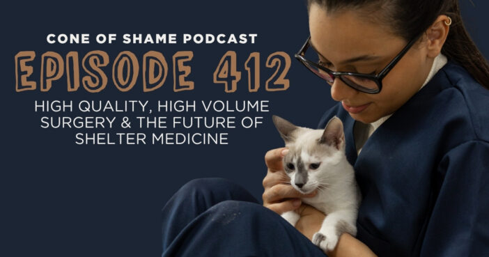 woman in scrubs holding cat in animal shelter