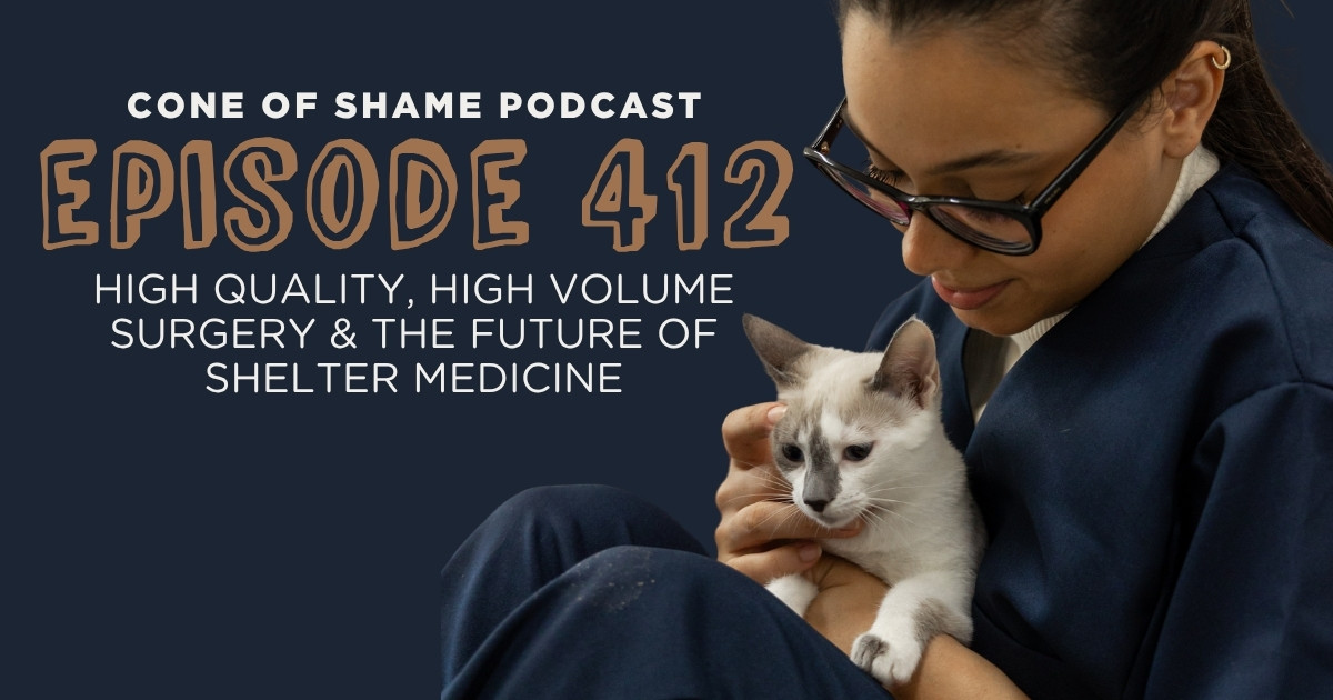 woman in scrubs holding cat in animal shelter