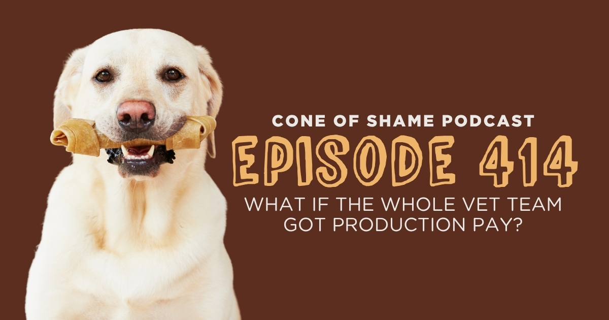 labrador retriever dog holding a bone