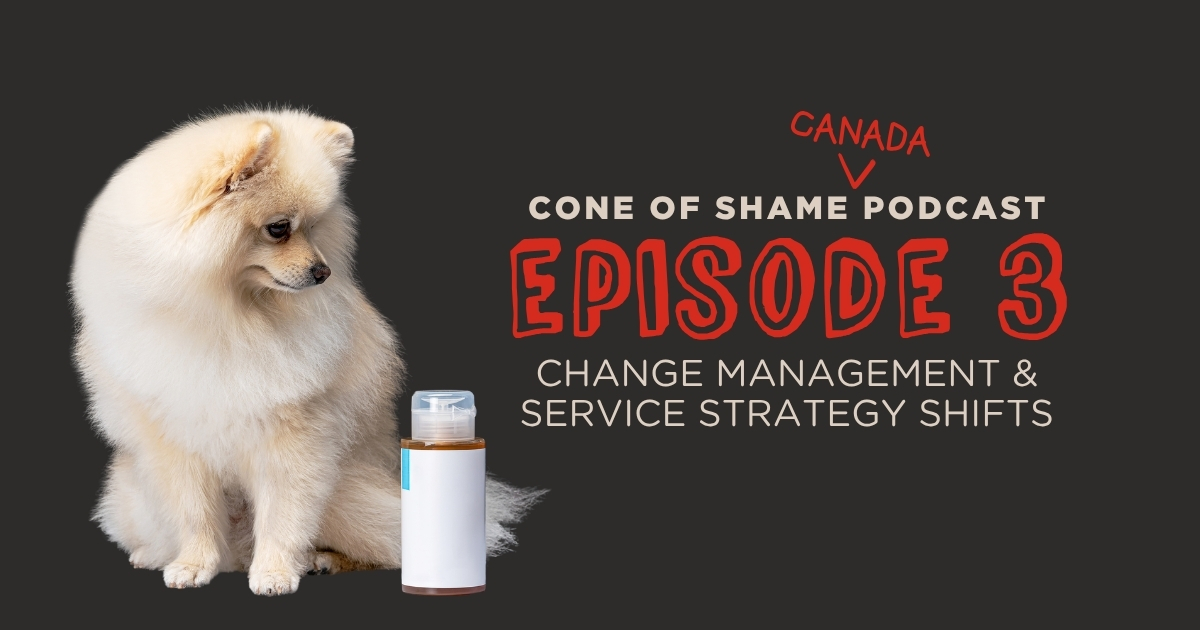 pomeranian dog looking at bottle of medication