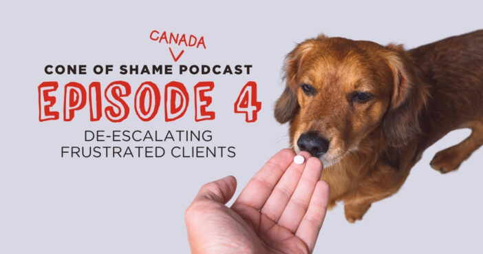 golden retriever dog being offered a pill medicine in someones hand