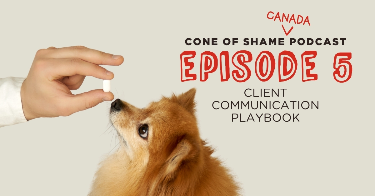 pomeranian dog eating a pill medicine out of a veterinarian's hand