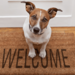 Dog sitting on welcome mat at front door.