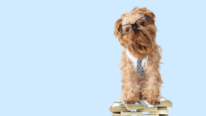 Dog wearing tie with money