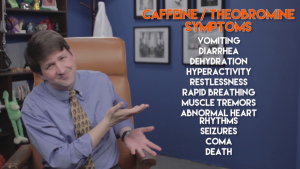 caffeine ingestion dogs